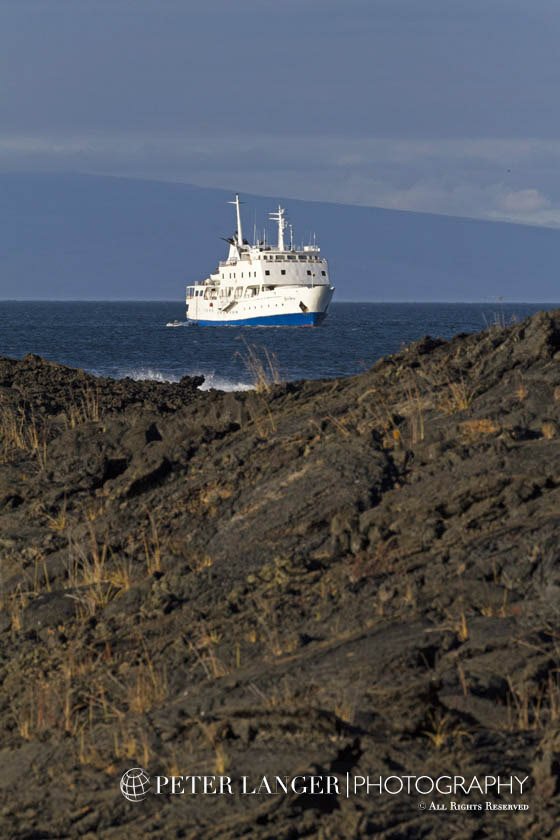 %_tempFileNameexpeditions033%