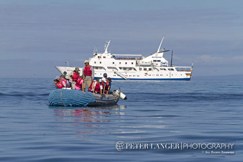 %_tempFileNameexpeditions043%