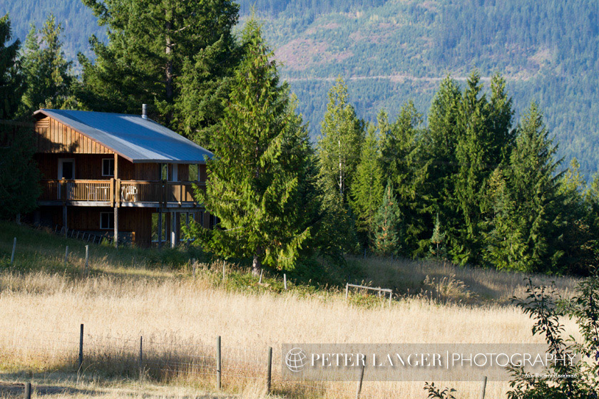 %_tempFileNameranches006%