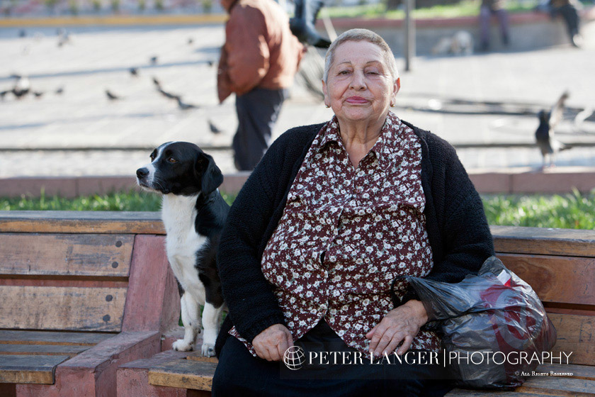 %_tempFileNamepets006%