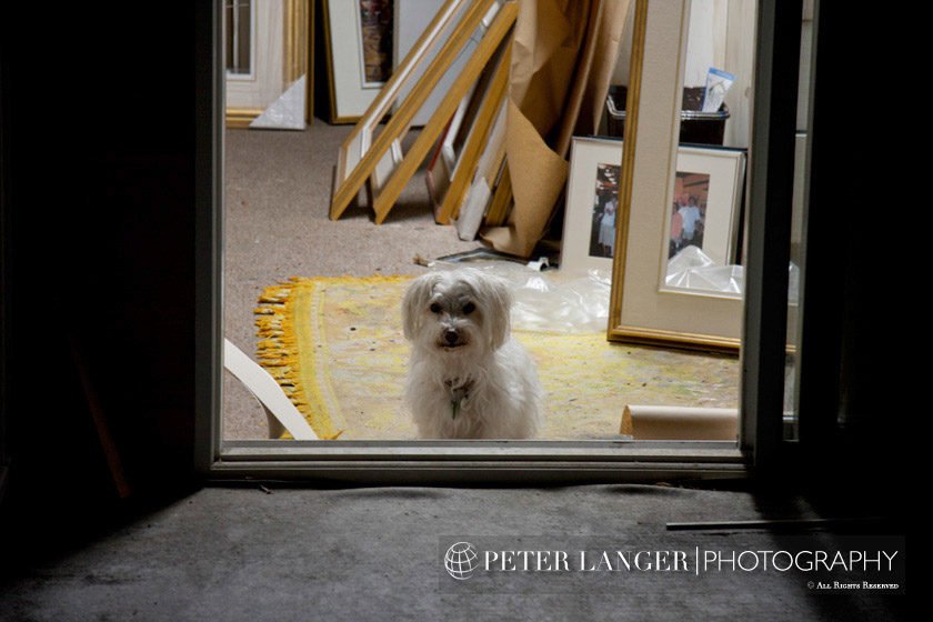 %_tempFileNamepets009%