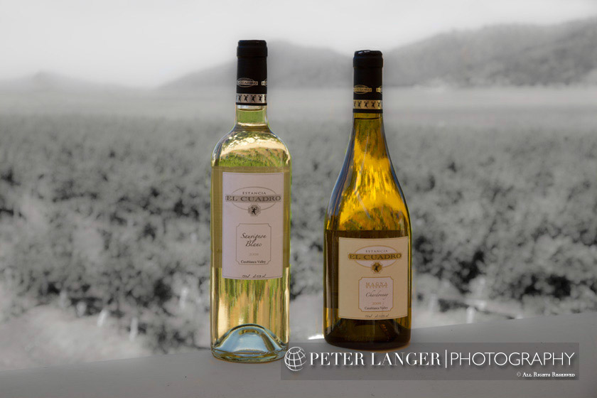 %_tempFileNamewine001%