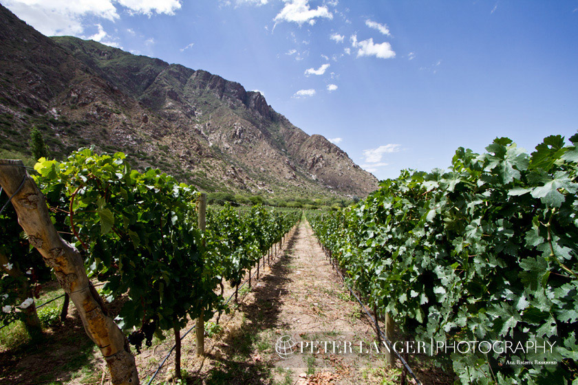 %_tempFileNamewine016%