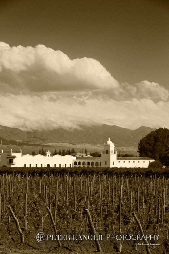 %_tempFileNamewine017%